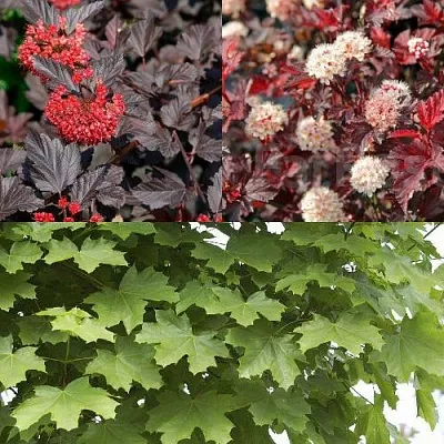 Комплект ОСЕННИЙ КОСТЕР в Костроме