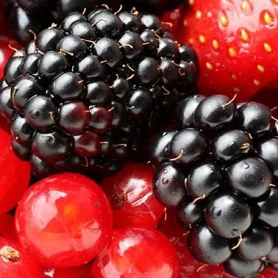 Ежевика в Костроме