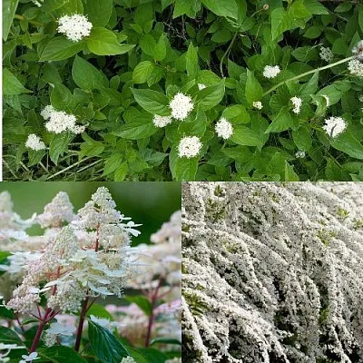 Комплект СКАНДИНАВСКИЙ СТИЛЬ в Костроме