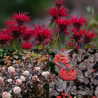 Комплект ОГНЕННЫЙ МИКС в Костроме