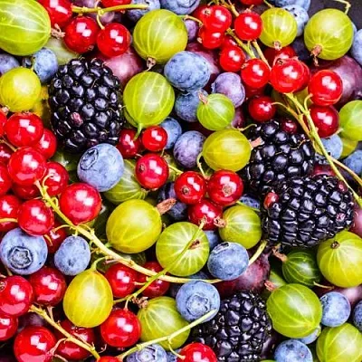 СУПЕР НОВИНКИ в Костроме