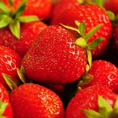 Клубника в Костроме