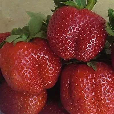 Клубника ДЕСТЕНИ в Костроме