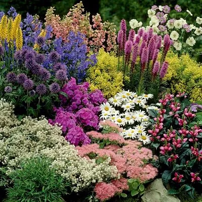 Травы Травы в Костроме