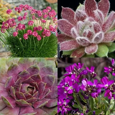 Комплект МИНИ САД в Костроме