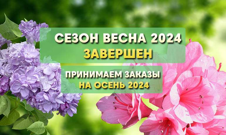 Сезон ВЕСНА 2024 ЗАВЕРШЕН Сезон ВЕСНА 2024 ЗАВЕРШЕН